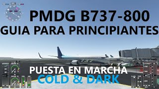 GUIA PARA PRINCIPIANTES, SECUENCIA DE ENCENDIDO DEL BOEING 737-800 DE PMDG DESDE EL ESTADO COLD&DARK