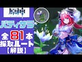 【原神】誰よりもわかりやすくパティサラ81本すべての採取ポイントと採取ルートを解説する！／Padisarah ALL 81 Location【Genshin Impact】
