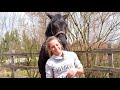 Tipps & Tricks: Physiotherapie beim Pferd - Teil 1