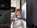 Compilation of ❄️ y14760549994 ❄️ Eating Huge Chunks of Shaved Refrozen Ice 🤤🤤🤤 [ICEBITES]
