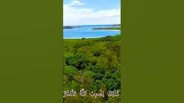 سورة الرعد و.كا.نك تسمعها لأ.و.ل مرة ♥️💔.🌷.🌻💖بصوت الشيخ حمزة مدبو.ح. .💝.🌻🌸😔.💞
