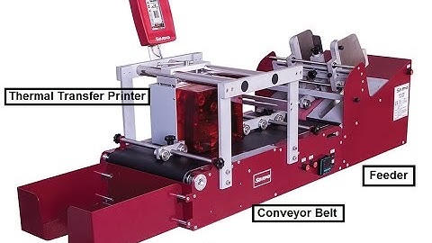 SAVEMA Feeder Conveyor Belt SVM 53I on Thin Label Paper Printing Application