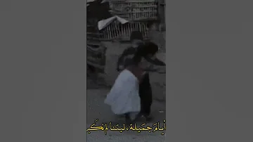عشرتنه من معنى الهجر مابيها لو ذرة باسم الكربلائي ستوريات 