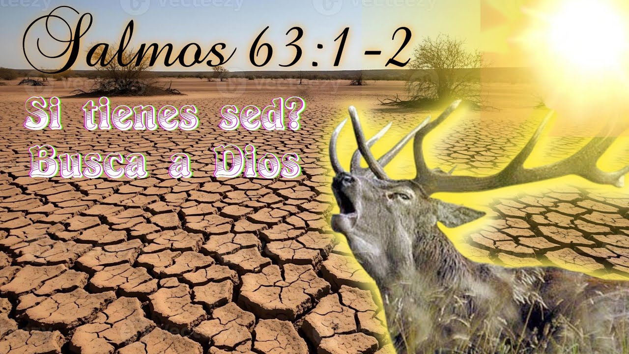 Si tienes sed busca a Dios
