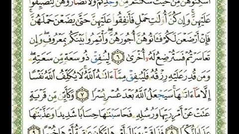 065 - سورة الطلاق - شيرزاد عبد الرحمن طاهر