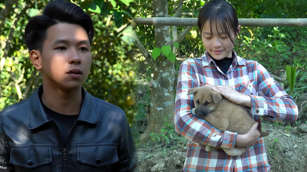 Торговец Хунг влюбляется в девушку, живущую в лесу. Смогут ли они быть вместе?