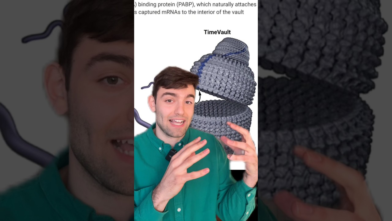 Groundbreaking invention: TimeVaults