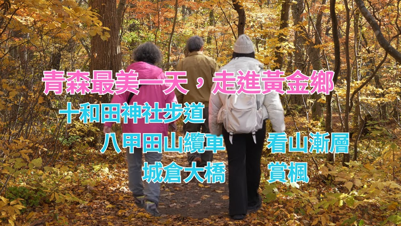 青森最美一天，帶爸媽去十和田神社走進黃金鄉 🚠 八甲田山纜車看漸層楓紅，比奧入瀨溪更震撼的奇蹟美景【帶爸媽去青森 EP3】