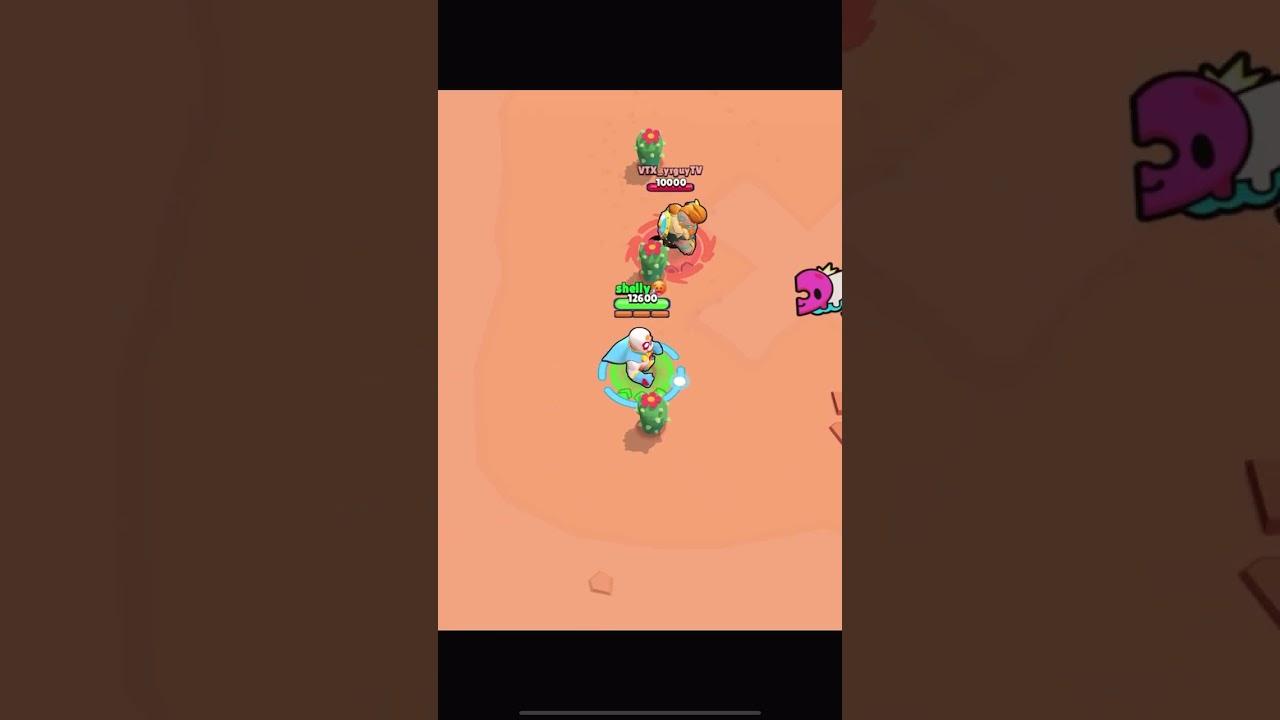 What should you do when a bull chases you?