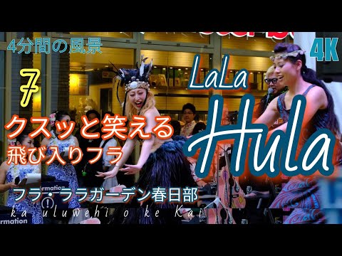 クスッと笑える 飛び入りフラ【ララガーデン春日部 LaLaHula 7】フラを愛する人たち (ka uluwehi o ke kai)フラダンスイベント2023春日部の風景 2023.6.25