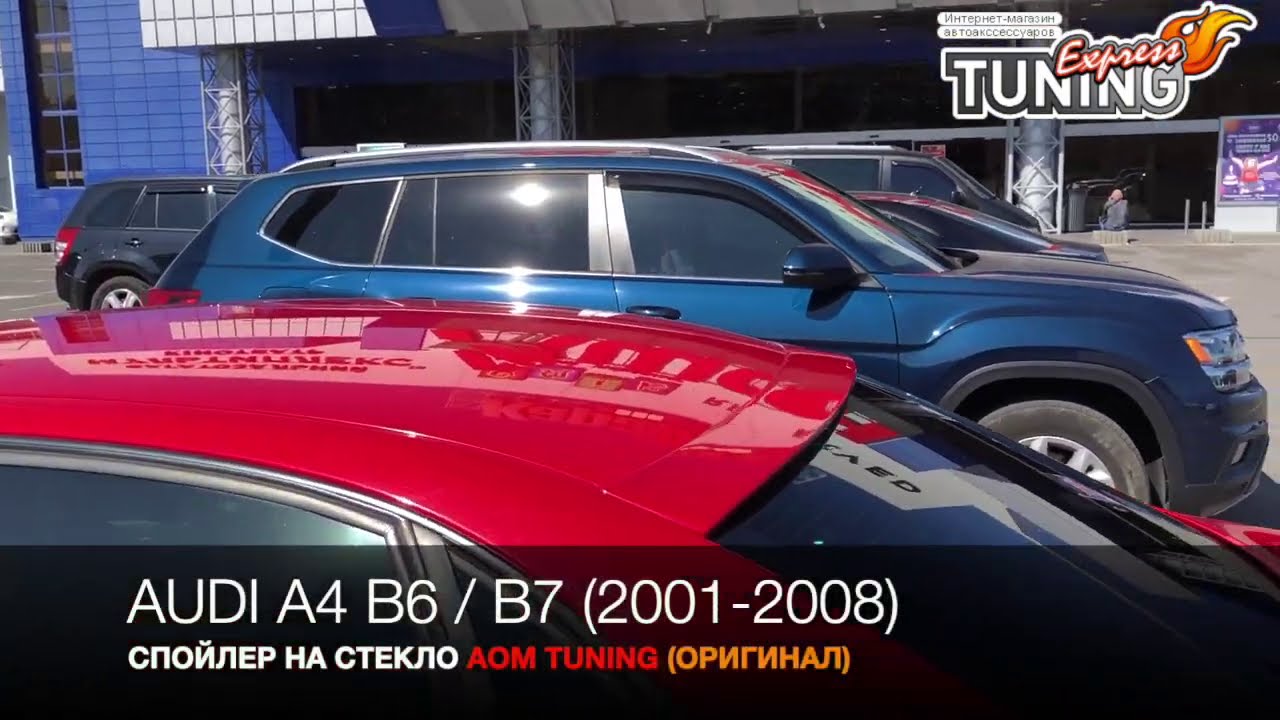 Козырек пассат б6