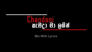 Chandani X හැමදා මා ලගින් | With Lyrics