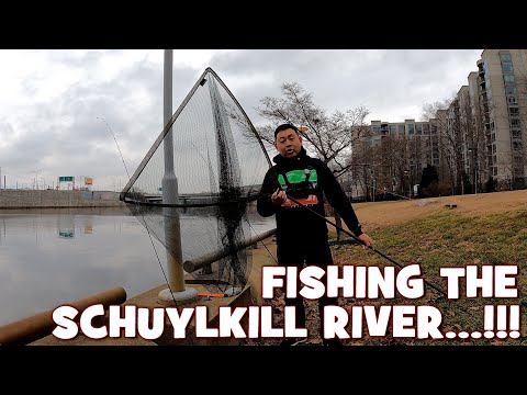 Video: Kan du fiska i schuylkillälven?