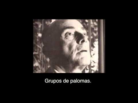 Grupos De Palomas En Voz De Carlos Pellicer Cámara