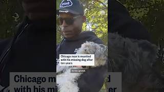 Chicago man is reunited with his missing dog after ten years