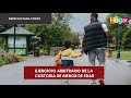 Ejercicio arbitrario de la custodia de menor de edad - HogarTv producido por Juan Gonzalo Angel R