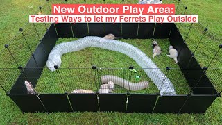 New Outdoor Play Area: Testing Ways to let my Ferrets Play Outside
