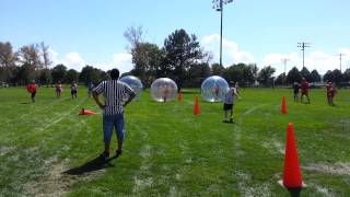 Battle Of The Vet Hospital Stars - Human Hamster Balls