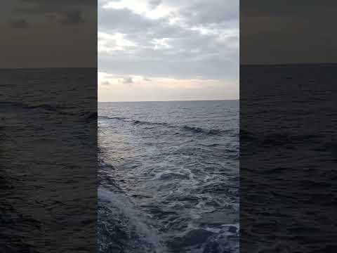 تخيل نفسك وانت راكب مركب بالشكل دا اكسبلور كل ما يخص المجال البحري تيك توك  