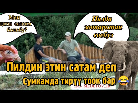 Video: Жетилген сүрөтчүлөрдүн балдардын сүрөттөрү кантип өстү. Subtext галереясындагы Homeroom экспозициясы