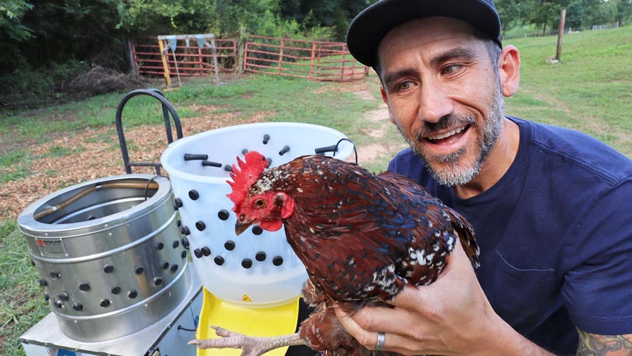 Testing Different Chicken Pluckers with Sow the Land Homestead