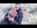 Arrowhead Hunting Colorado Treasure: New Jasper Deposit #2