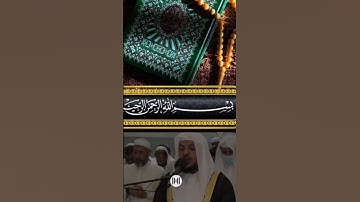 ماتيسر من سورة النمل #الشيخ_هيثم_الدخين