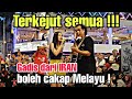 Maria gadis dari Iran boleh menyanyi lagu Sudah Cukup Sudah