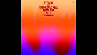 NTEIBINT feat. Matina Sous Peau - What You Need (Tensnake Remix)