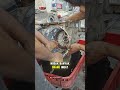 SELAIN RUTIN GANTI OLI MESIN, OLI INI WAJIB RUTIN DIGANTI YA #fyp #sidoarjo #mobilmatic #overhoul