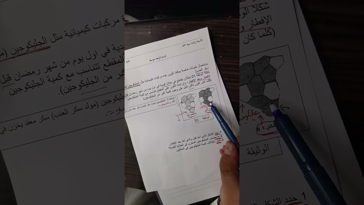 حل تمرين للسنة الرابعة متوسط علوم طبيعية
