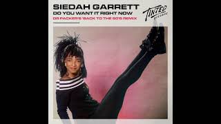 Siedah Garrett   Do you want it right now Dr Packer's back to the 90's extended mix Resimi