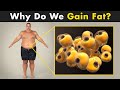 Weight Gain - The hidden reality about weight gain!