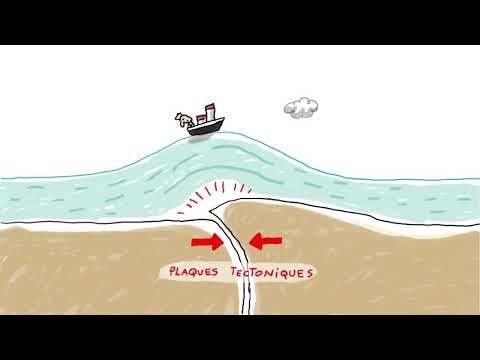 Vidéo: Quelques Faits Sur Le Tsunami