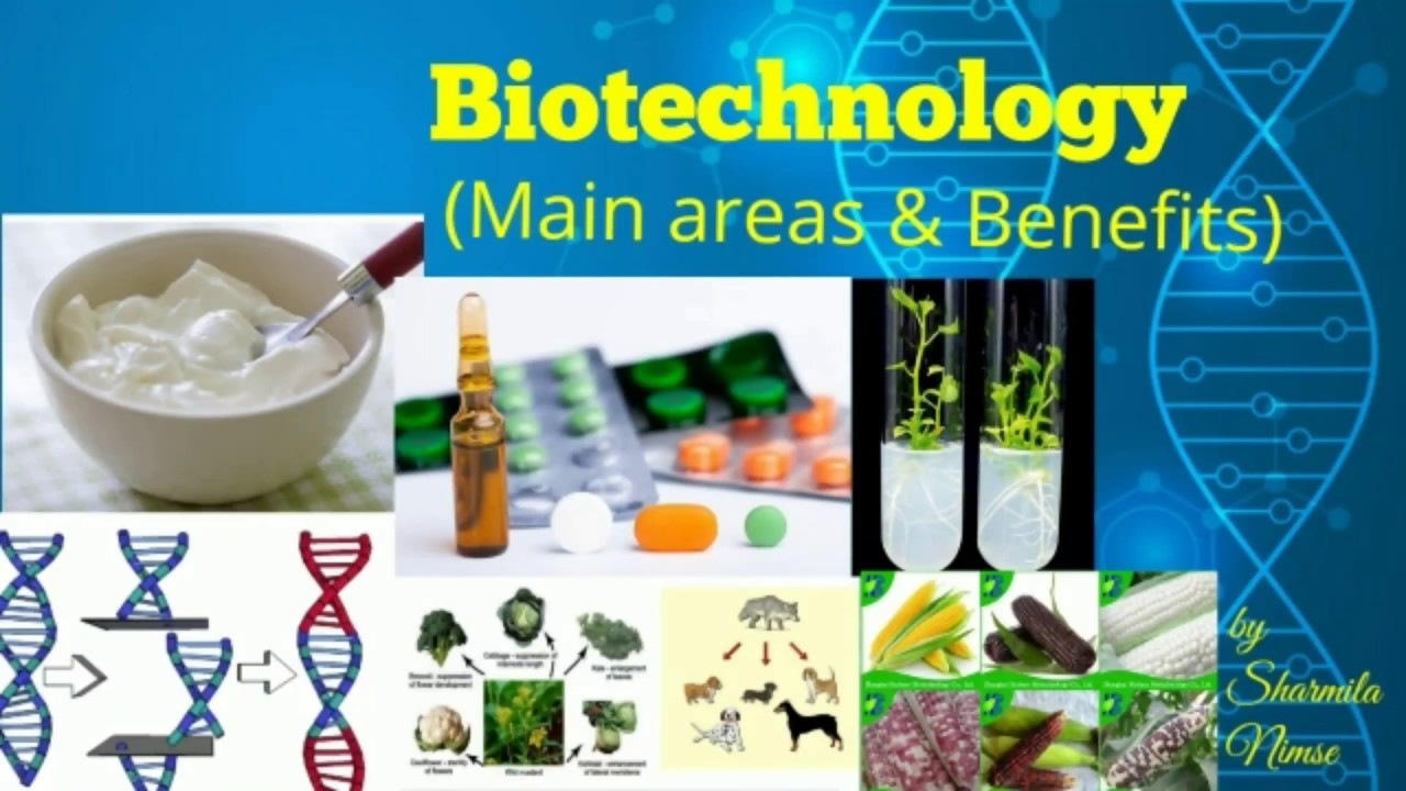 Main areas and benefits of biotechnology. YouTube