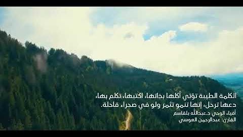 ألم تر كيف ضرب الله مثلًا كلمة طيبة | عبدالرحمن العوسي | سورة إبراهيم