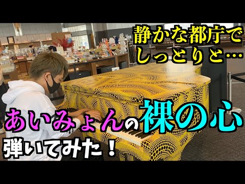 癒し…！静かな都庁で あいみょん／裸の心 弾いてみた！