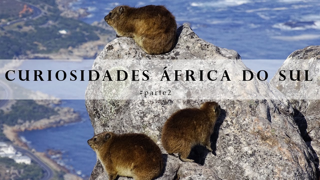 Curiosidades Africa Do Sul - FDPLEARN