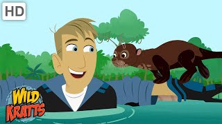 Swimming with Giant River Otters | One Big Happy Family | Wild Kratts