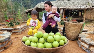 Single girl: Harvesting Guava Goes to market to sell  Happiness with your child | Trieu Thi Thuy