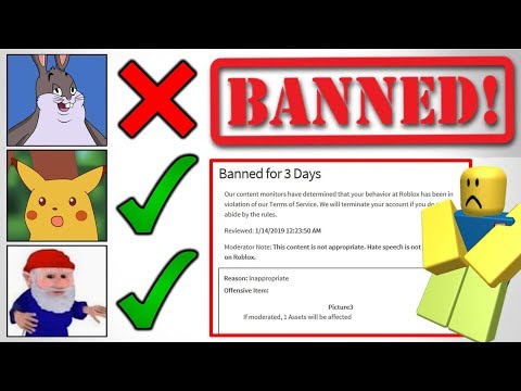 What Memes Will Get You Banned From Roblox In 2019 Youtube - roblox youtubers ban