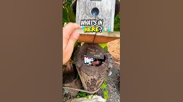 How many decoys can you spot before I find this Geocache? What an AMAZING and unique hide!