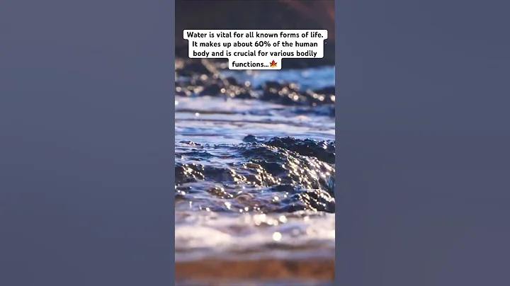 Facts about water…| Motivational | Quotes | Success | Facts | Motivational Lines |