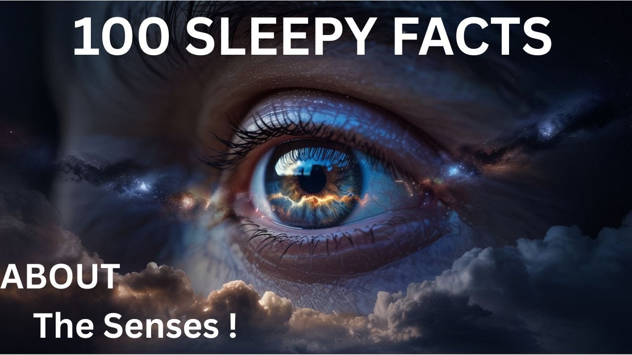 The Most Relaxing Facts About The Senses to Fall Asleep To