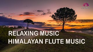Himalayan Flute Music | Meditation Music | Relaxing Music (बाँसुरी) Aparmita Ep. 145 by Aparmita 19,110 views 5 months ago 1 hour, 4 minutes