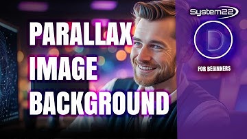 Dive into Divi: A Beginner