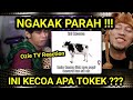 NGAKAK PARAH PART 2 !!! INI KECOA APA TOKEK ???