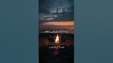 وَأَوْحَىٰ رَبُّكَ إِلَى ٱلنَّحْلِ 🐝 القارئ حمزه بوديب