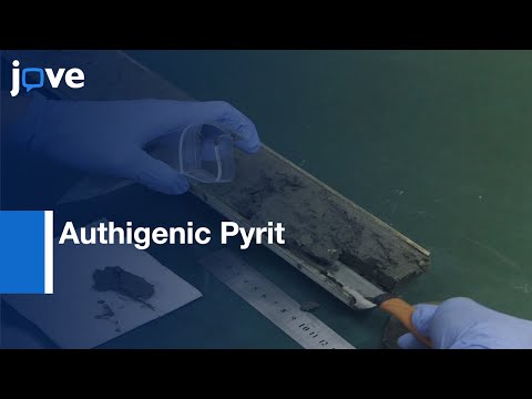 Sulfur Isotope Analysis by Authigenic Pyrit using SIMS | Protocol Preview