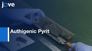 Sulfur Isotope Analysis by Authigenic Pyrit using SIMS | Protocol Preview